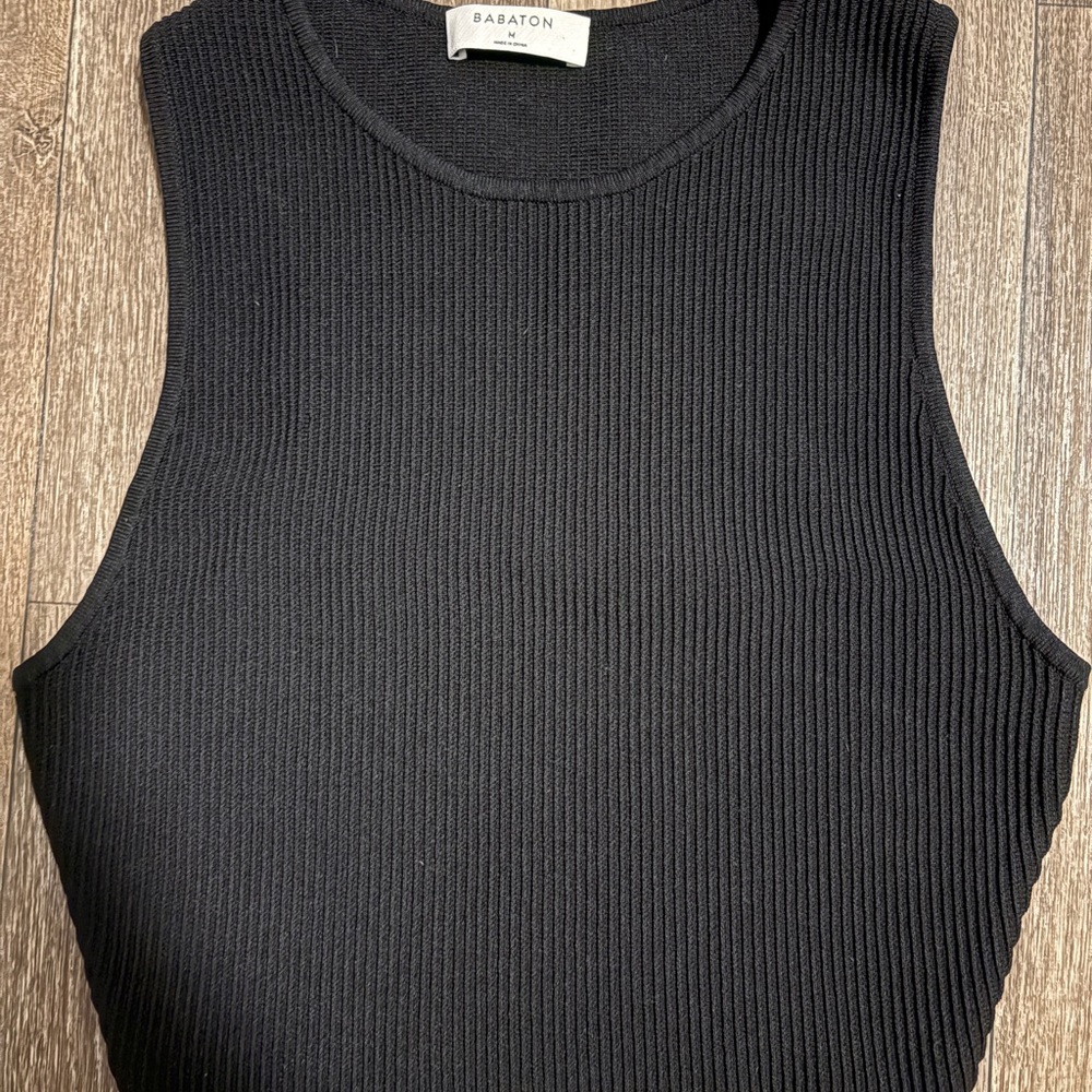 Aritzia Babaton Sculpt Knit Tank